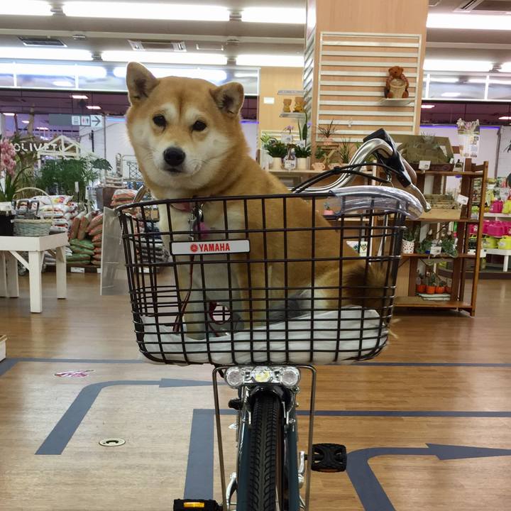 9661dfcc 6730 4064 9297 0a7c021d8c3d