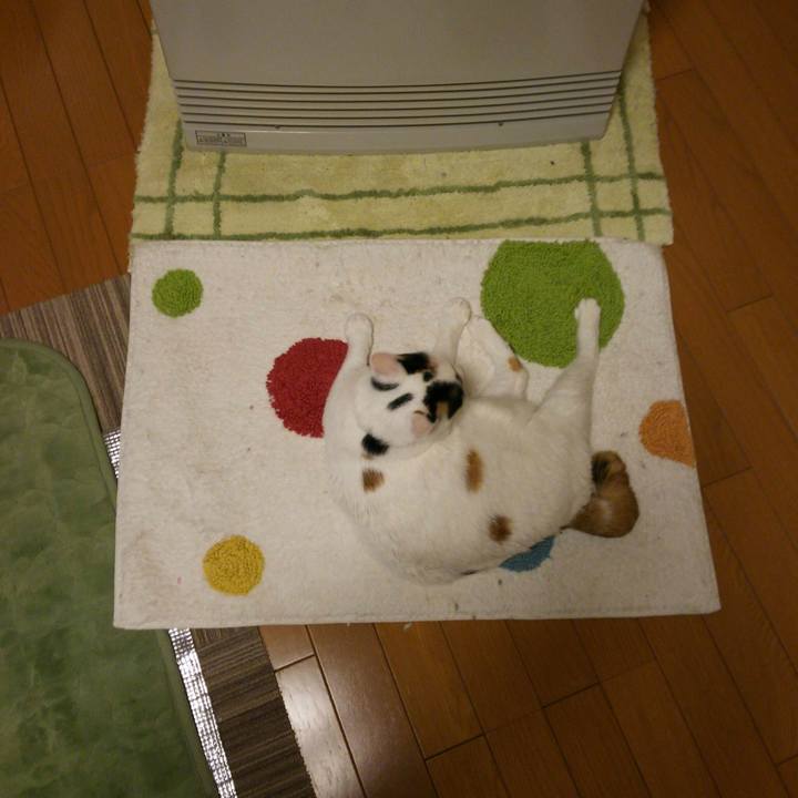 9662e55b 3df2 4959 9b9c d7f5ccb20959