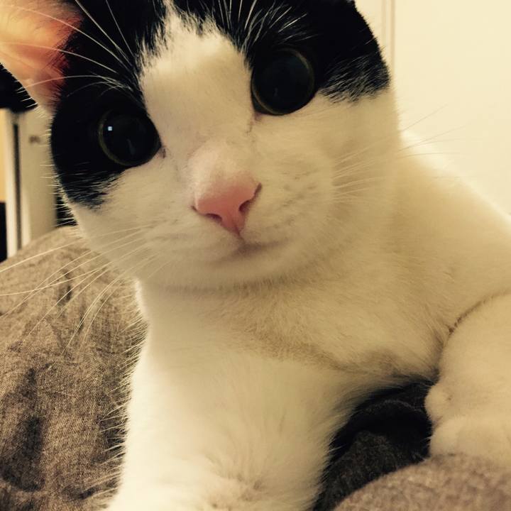 9664267f 2312 4964 bb3b 0638b6e2fb34