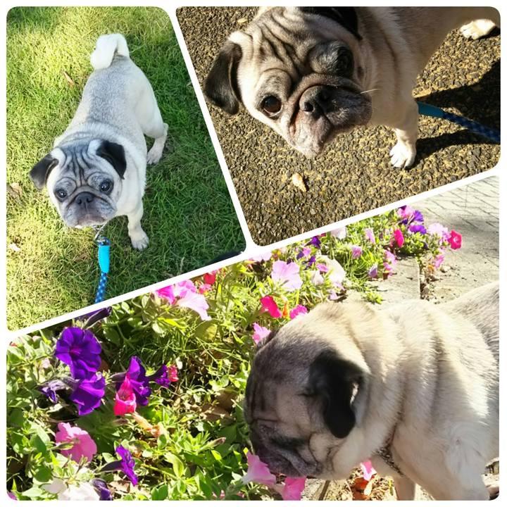 966483af 5860 4c95 b7ea 880185837eed