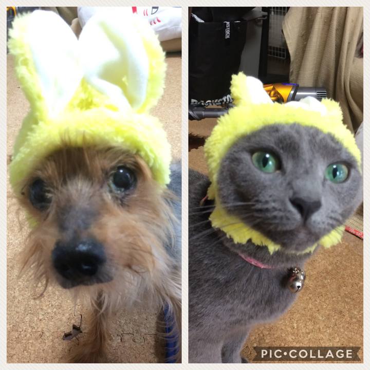 9664f048 d646 45ef 9185 a3dbad7d5caf