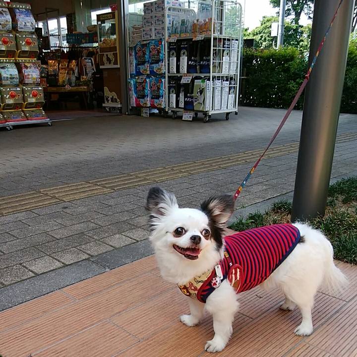 9665c43d 90dd 436b a2e0 c733bd446994