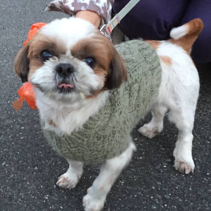 9665c59a b871 4238 b87e 908709195b5f