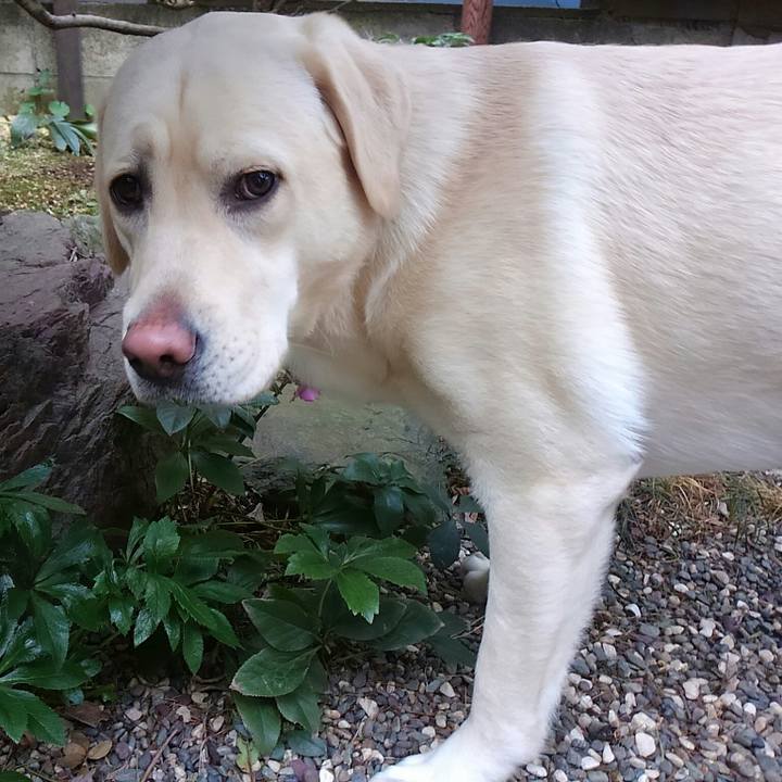 9665d93e 781f 4fc6 993e 45b59cfd572c