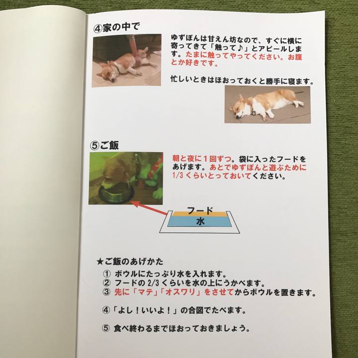 9665db7d 5b30 4c74 9212 4ae600f781e6