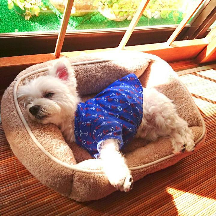 9666bfaa d450 40ea 8f44 74d89add6017