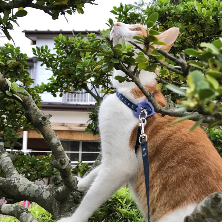 9667f07f bbd3 4eb4 a677 4e7228413e7c