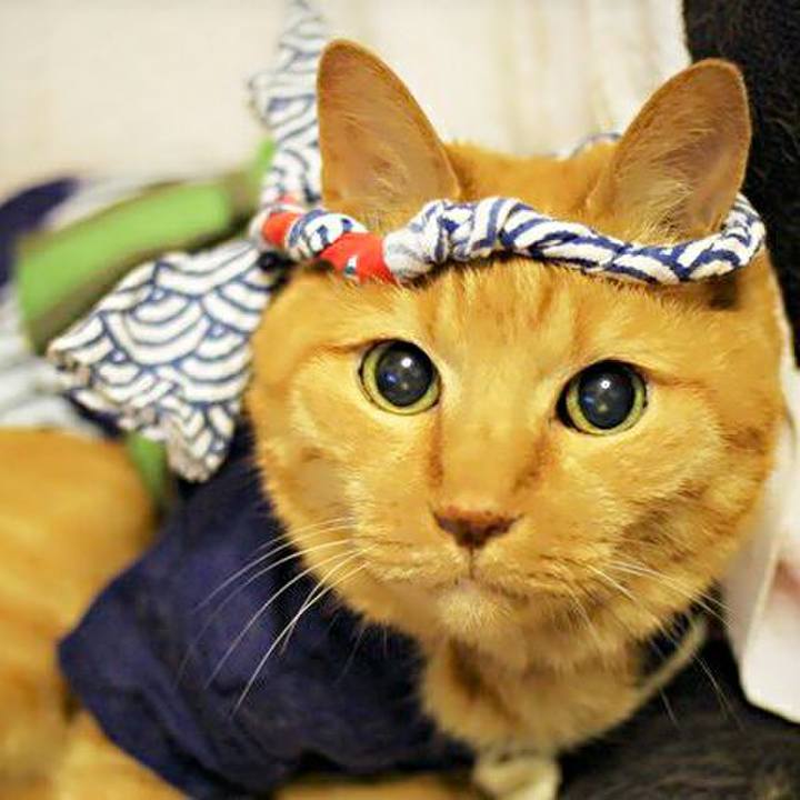 9667ffee 3a81 4e04 a9b0 0a8b41a451ac