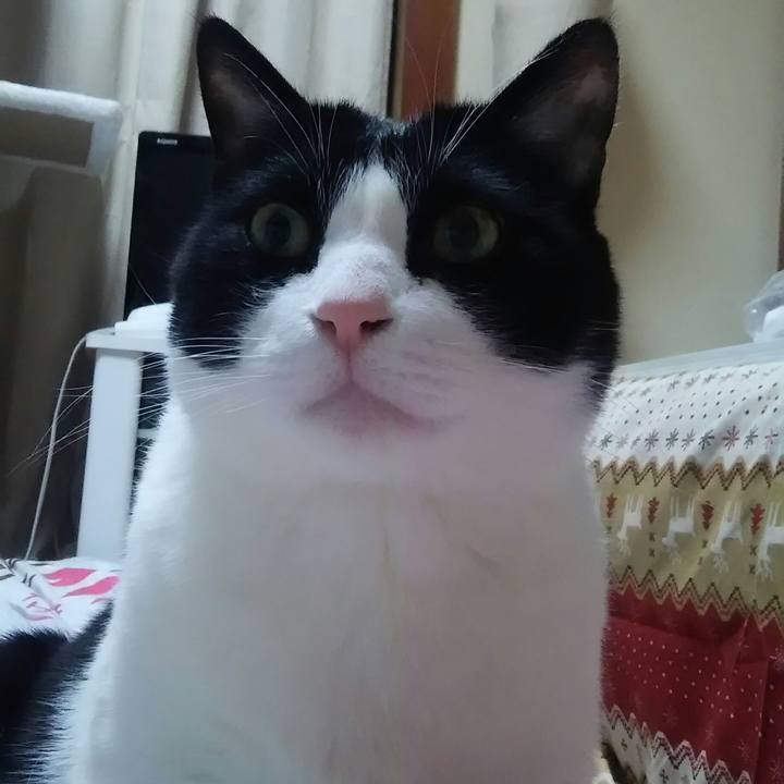 96689820 0cde 425e 9510 59998a5649a2