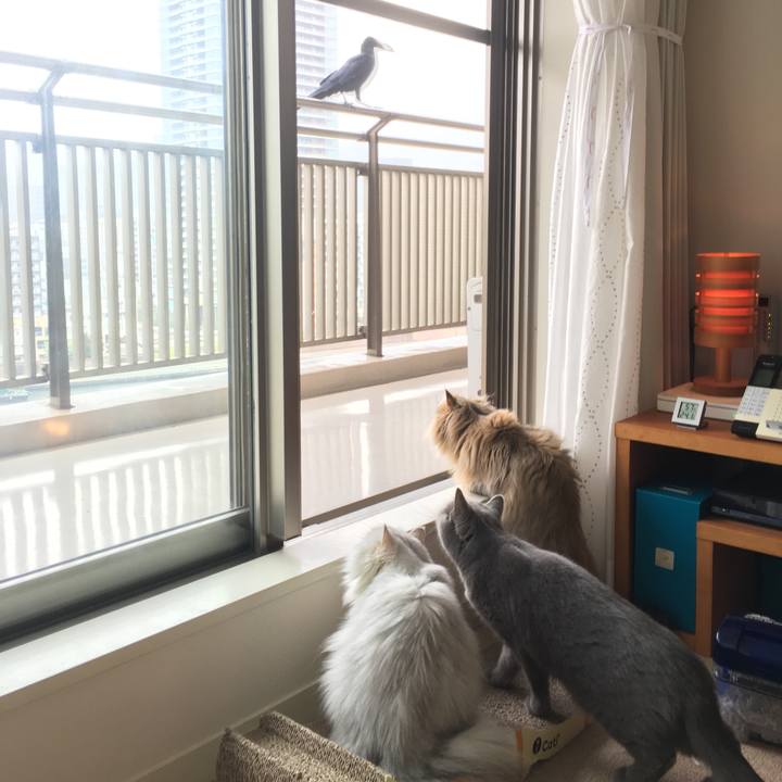 96693ad9 3123 49c9 af5d 34d95ee4deeb