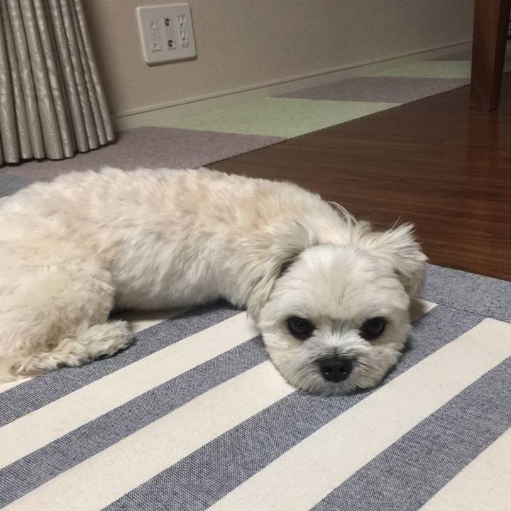 96694513 a2fb 4429 a613 7df0861b9734