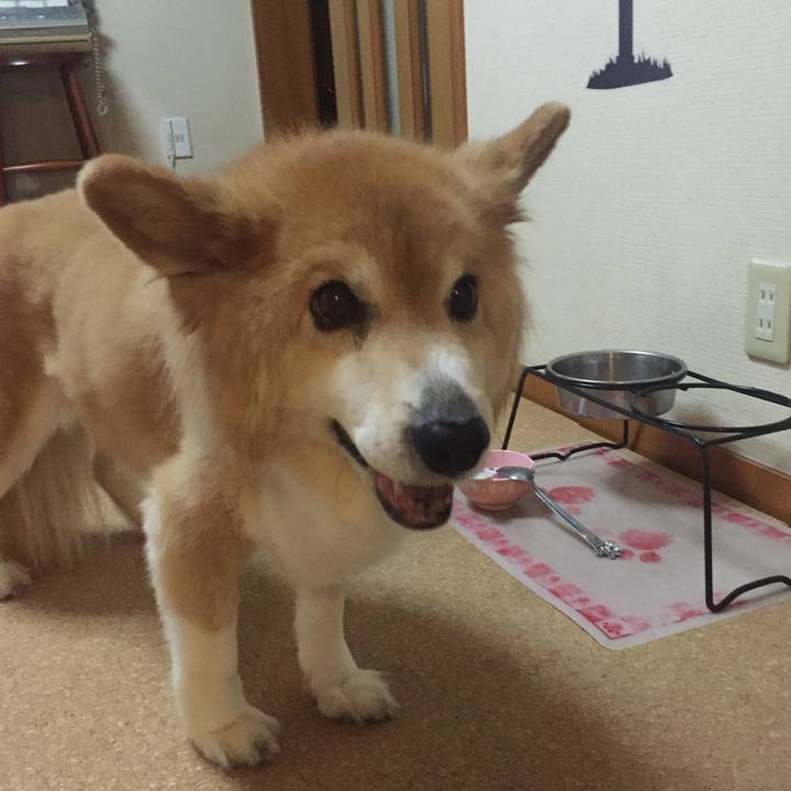 9669728b 7fec 4526 94b1 b927f232f721