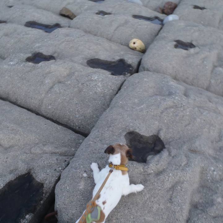 9669ce92 1e4d 49a8 8a14 91820d07daaf