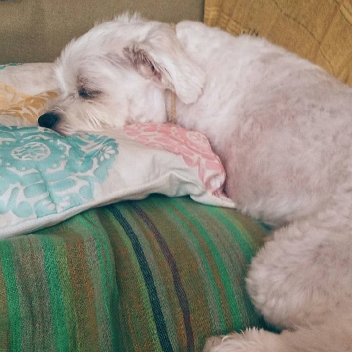 9669ecc4 d6e6 4858 a73f a55235f1cf8f