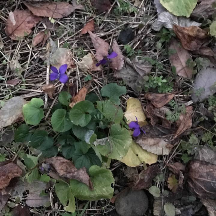 9669f082 8275 4141 b5f7 6db78330744f