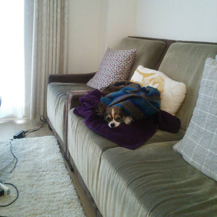 9669feb8 e31d 4775 95bd 25fddc0f4390