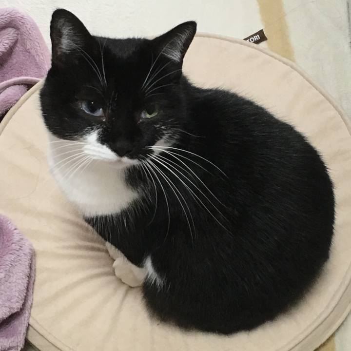 966a04f6 8bd7 43af 95ec 2070c8c75e2a