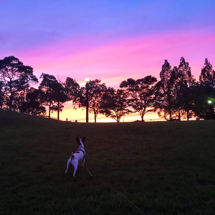 966a2646 2186 49e4 a84f 08740b3ef59e