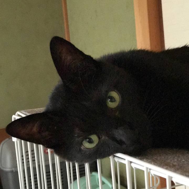 966a29af 8a4f 4293 a218 7ceb0de5a840