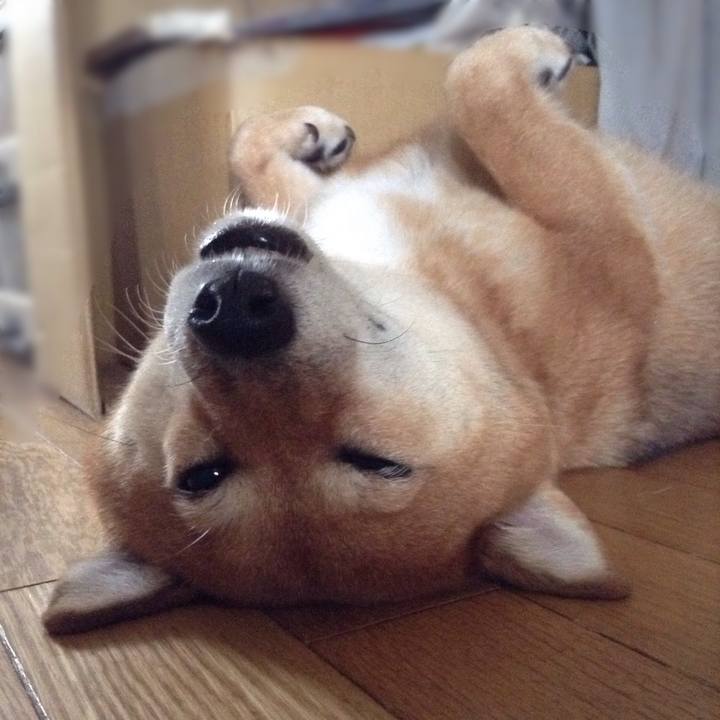 966a94f6 bb99 4df6 97ab 89ec45be2667