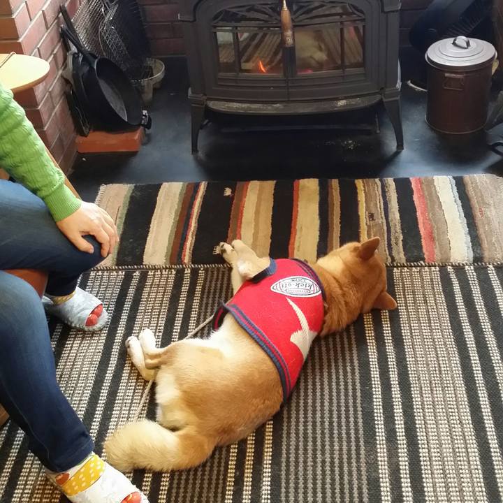 966ae2d9 571d 41ab b3b3 e1fc001c311a