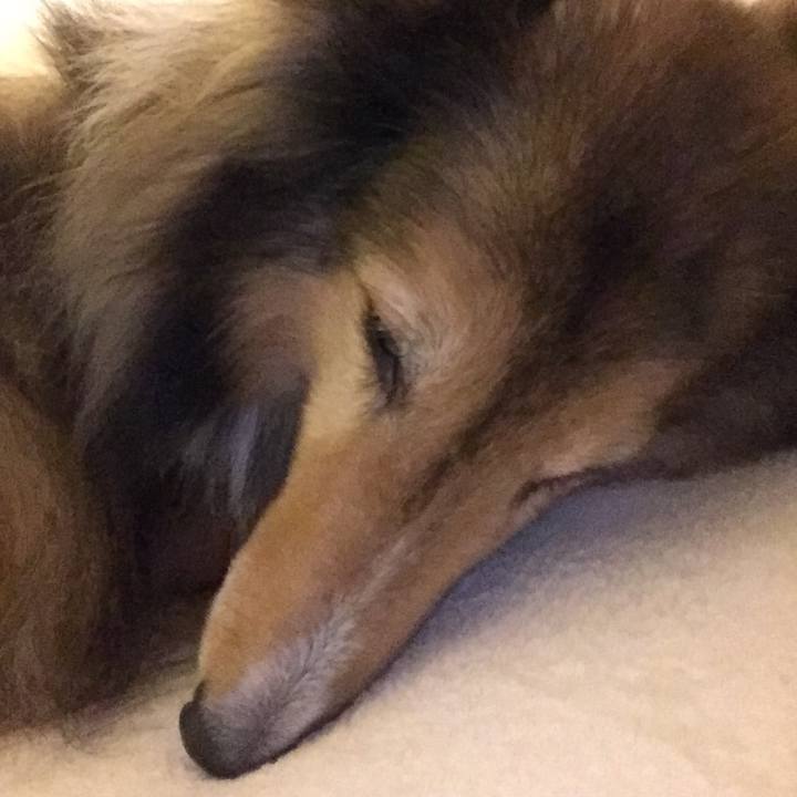 966b103b 8b2e 43ab 839a e54390f48873