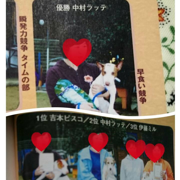 966c6c3b df30 4837 8f14 ecfdfe5de9ea