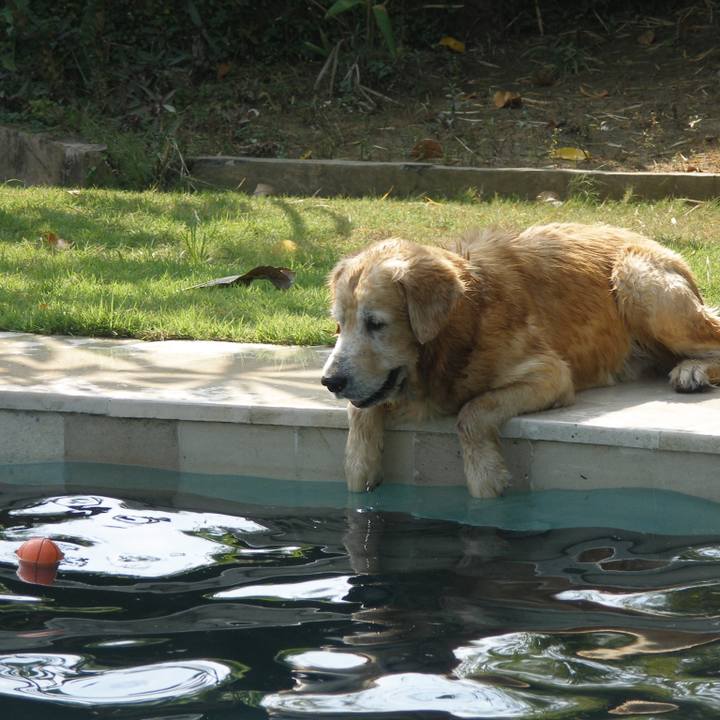 966cb2e9 c589 4cb2 a0dd aac1944ad8d8