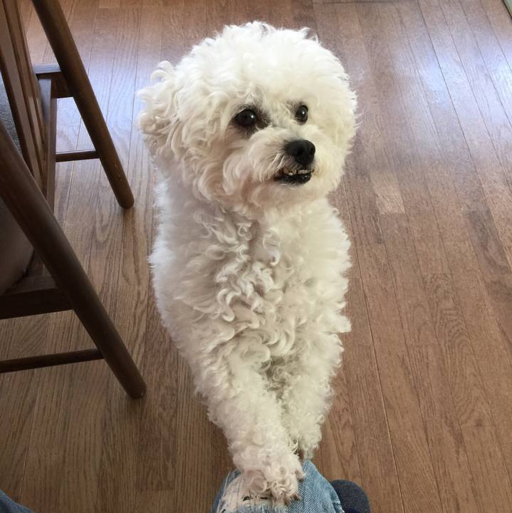 966cfc04 b4b4 46db 8a9b f77cc65d5559