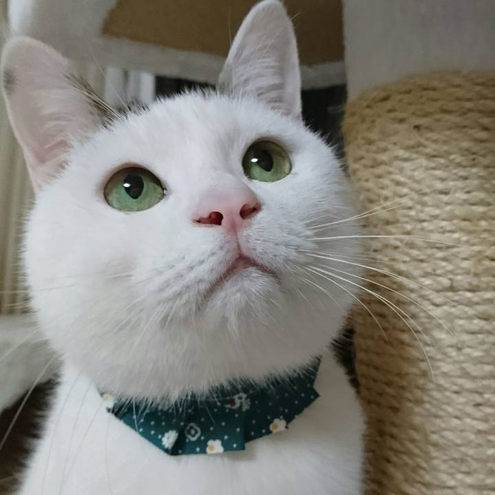 966d0b52 7487 4a15 975c 7d0d62768317