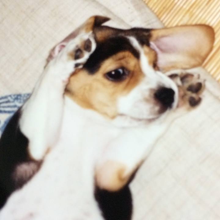 966dafe7 9241 4a38 a9bf 6c5535ee399f