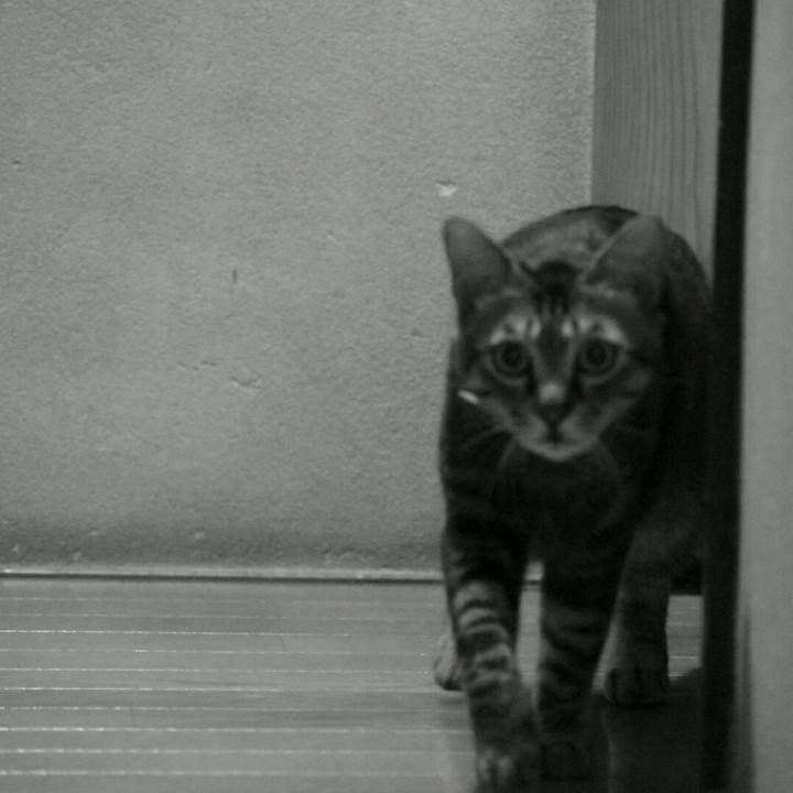 966e0312 c01d 4839 80e6 6dfcb1494a49