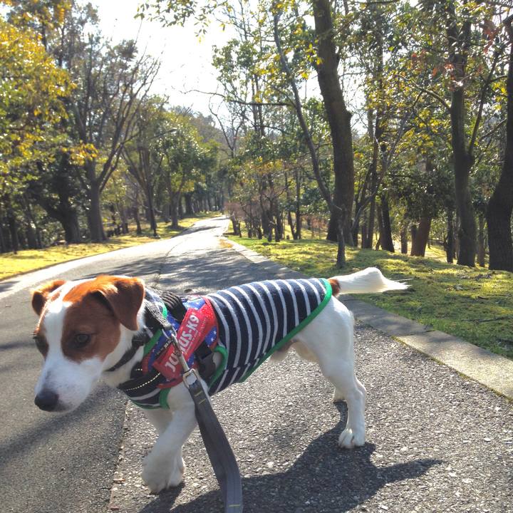 966e5f01 0a41 4fa3 add3 f317ef512ca3