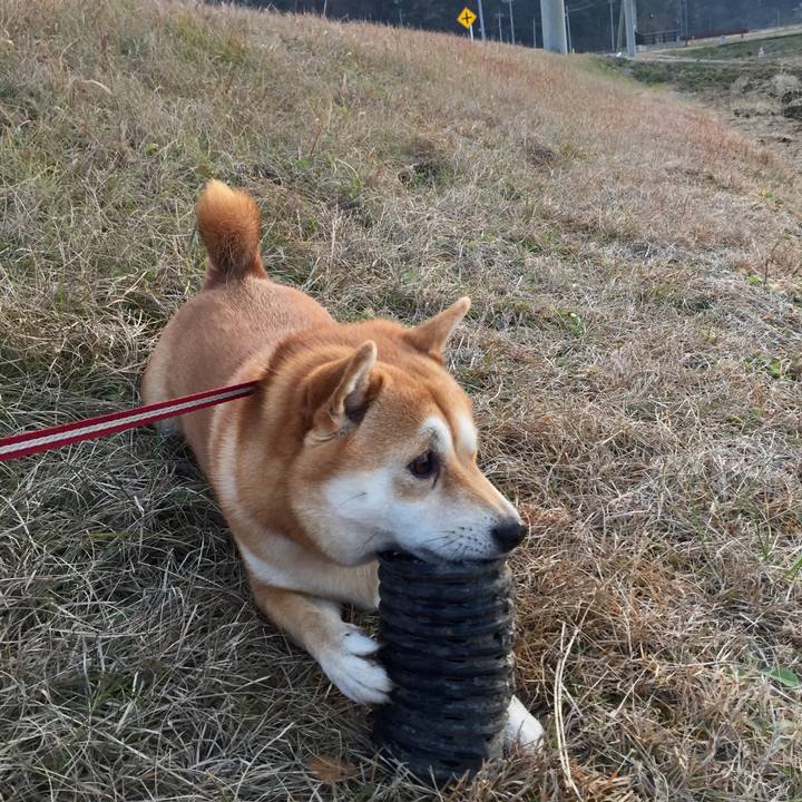 966e85e6 826e 4c79 a31c ec61ab12ac05