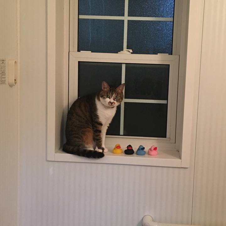 966f527d 3927 478c b105 2f88bb3a955b