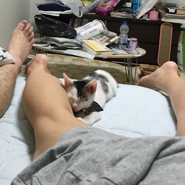 966fa553 f38d 41d9 92de 3f4d90433a9c