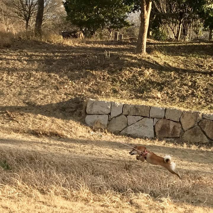 9670095e 7a03 48e0 8371 0e3caf53c949