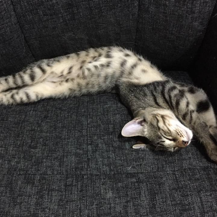 96704800 1b06 42c8 b2bc 6281e76b8cca