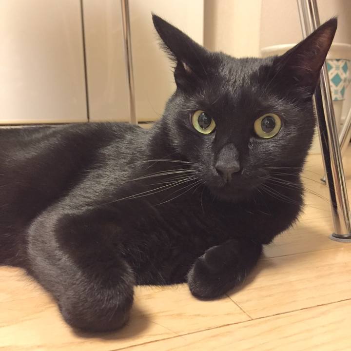 967060bb fd4b 43da 91fc 2b37746f5a00