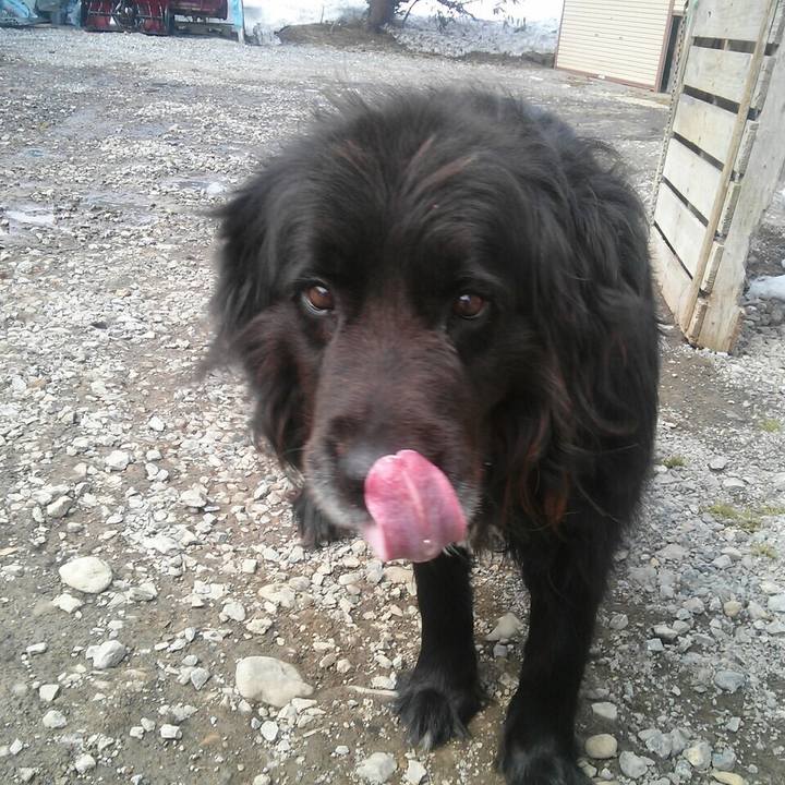 96706ef8 878d 4a89 83c8 db8bb796b532