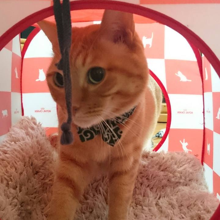 96708bc7 1fd5 489e 9c63 14b10928136a