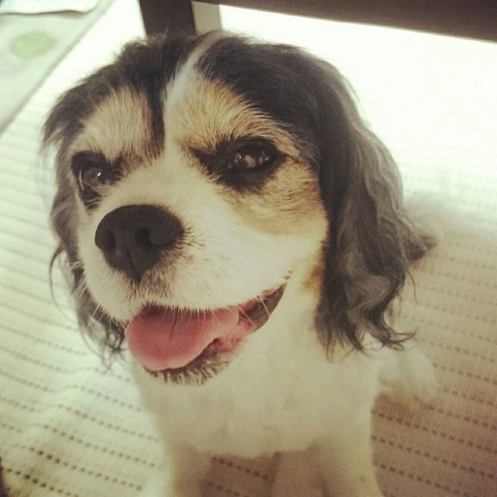 9671f539 1f8c 4194 ac47 3c9bacc2cf0e