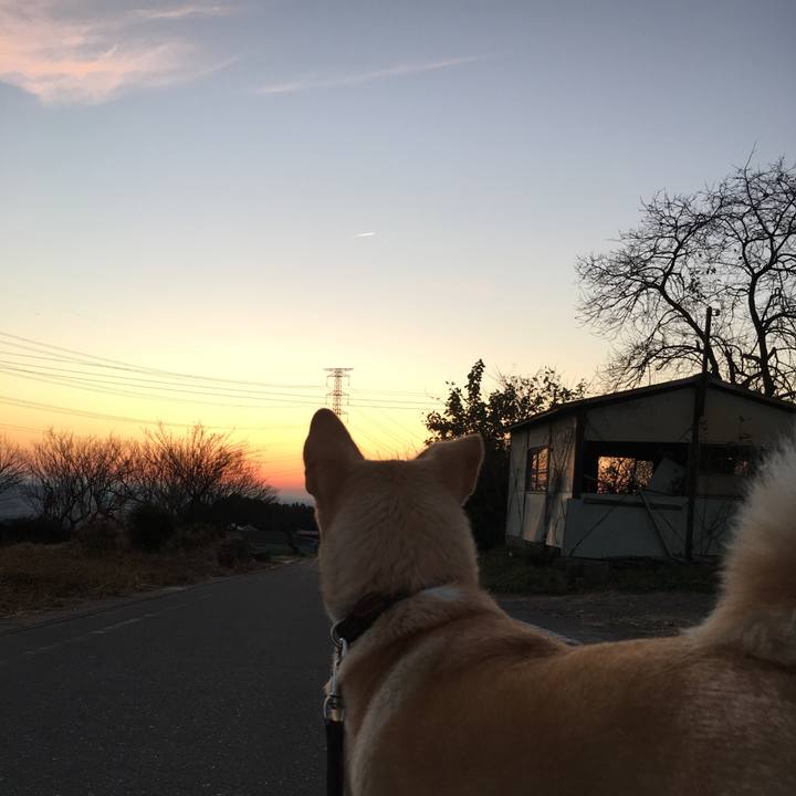 967258da 584a 48f7 8f88 7a15e136fc7d