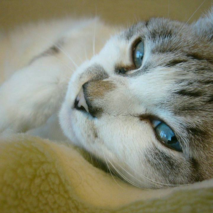 9672c8a3 3ee2 463b ad6c c419c90af1a7