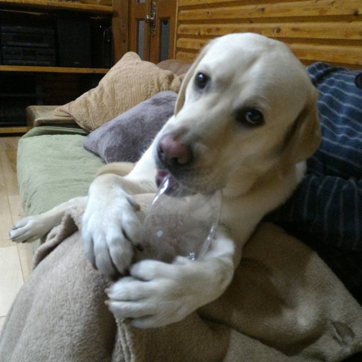 96732391 0d8f 4ed6 84be 2c98ed3868b9