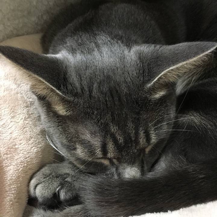 9673eea6 4faf 4c59 b060 8cb293b965a2