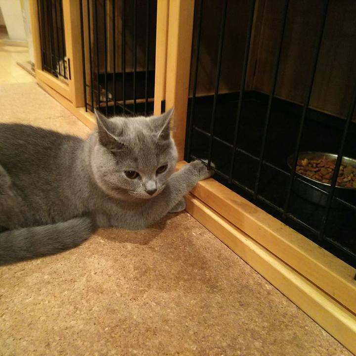 96750416 ba68 4eaf 89bd 65507ce3be8f