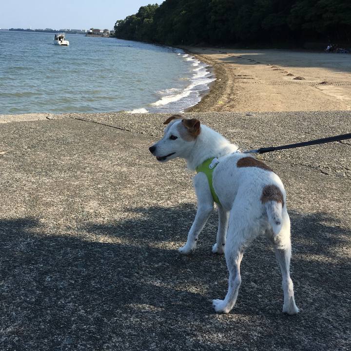 9675614d f91f 479e a54e 9c1017b6d358