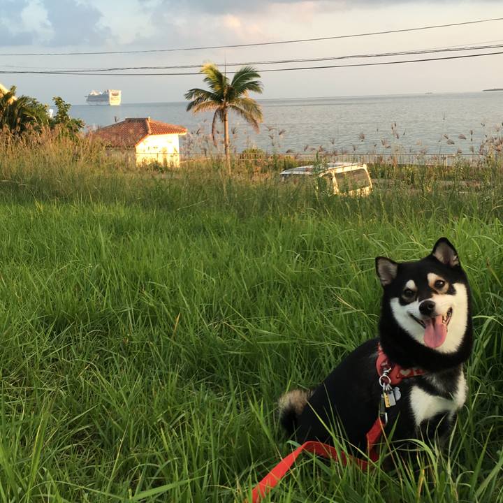 9675668f cc5f 4820 b485 3838121636e4