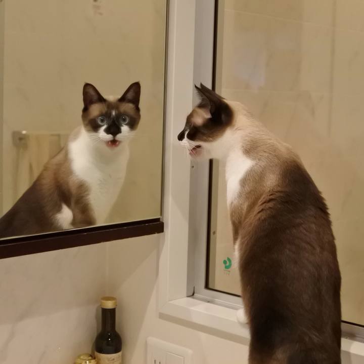 9675b033 4c35 49c8 82f7 eb786f094ecc